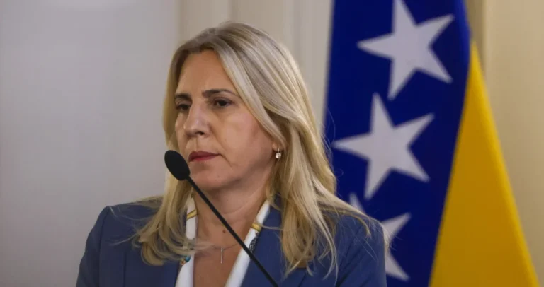 Cvijanović ogorčena prijedlogom iz Sarajeva – “Jadan je ustavni poredak kakvim ga vi vidite”