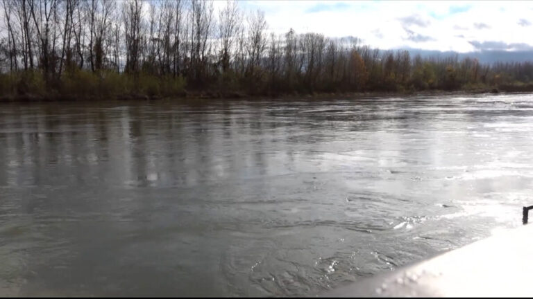 Drina opet prijeti, država i dalje spava: Semberija čeka nasip već 11 godina