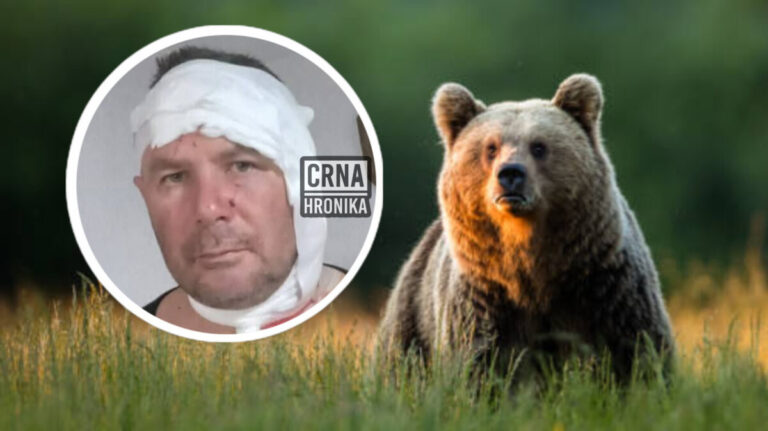 Edina napali medvjedi u šumi: “Jedva izvukao živu glavu”