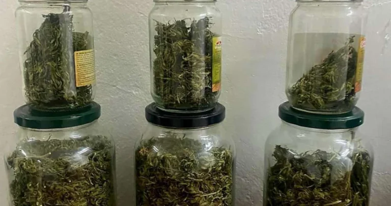 Hercegovački policajci u šoku: Golfom prevozio marihuanu u teglama, drogu dobrovoljno predao