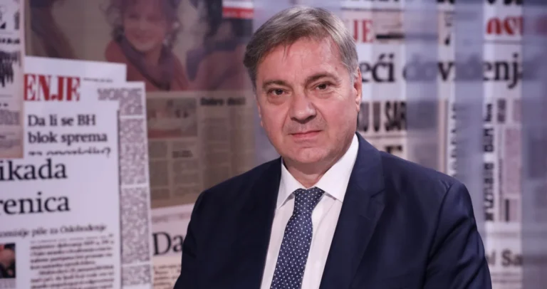 Kako bh. institucije sarađuju sa dijasporom: Evo šta je uradio Denis Zvizdić