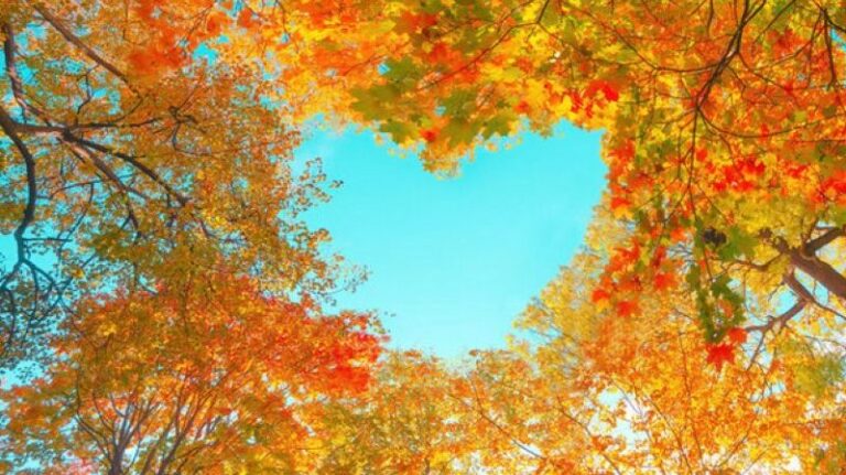 Ne čekajte 1. januar: Evo zašto je jesen najbolji period za novi početak