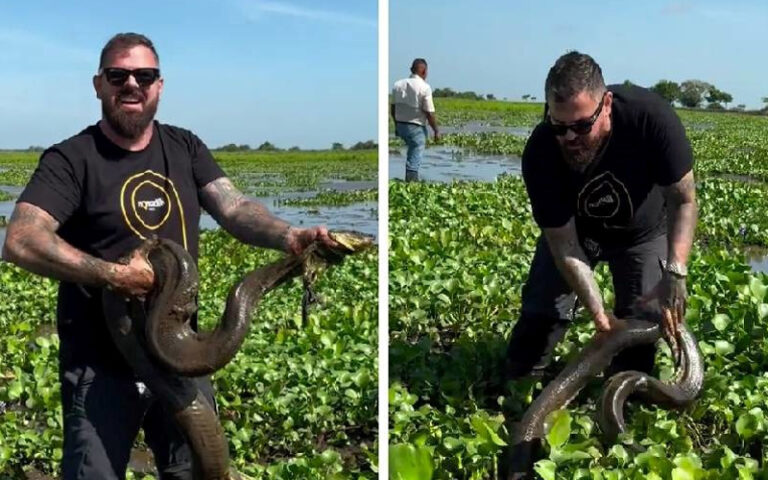 Organizacija za zaštitu prirode otkazala saradnju s Kristijanom Iličićem jer je “davio anakondu”