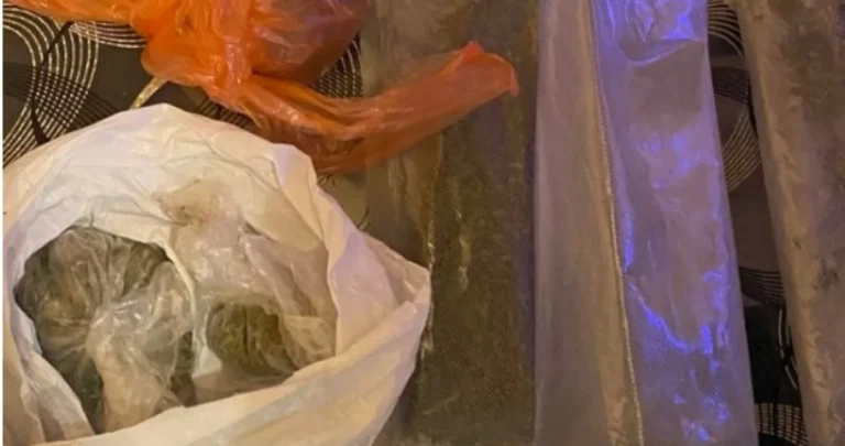 Pretres u bh. gradu: “Pao” diler, zaplijenjeno 400 grama marihuane