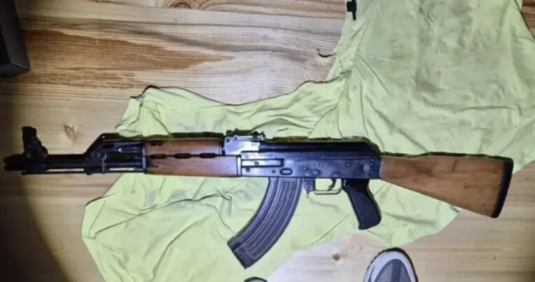 PRETRES u bh. gradu: U kući koju koristi Slovenac pronađene puške i gomila metaka