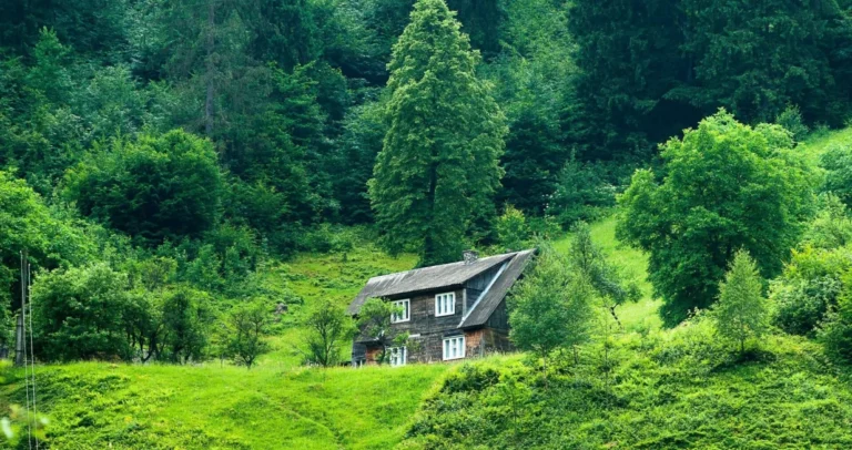 Prvo nestao, a onda proglašen mrtvim: Nakon 12 godina pronađen živ u planini