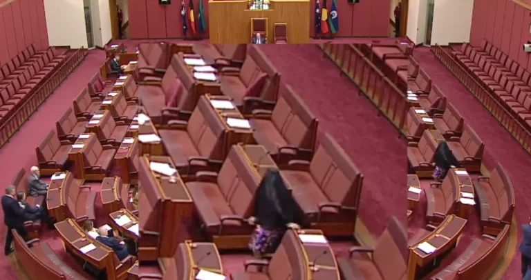 Skandal u parlamentu: Desničarska senatorica nosila burku, izazvala bijes