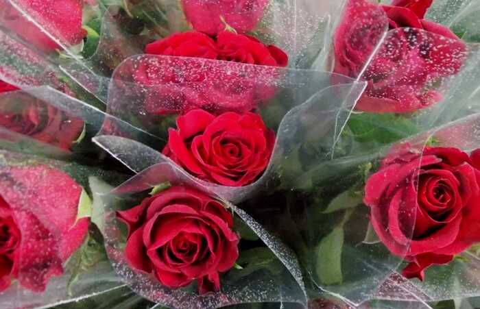 Zavodnik iz Tuzle ukrao ruže sa javne površine kako bi ih poklonio djevojci