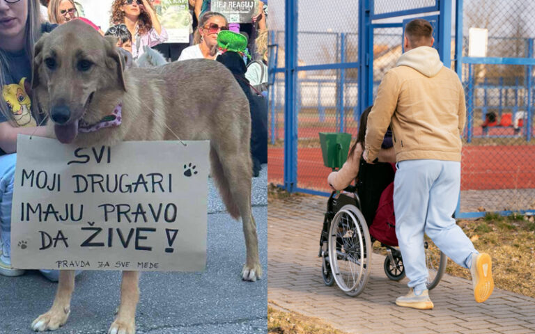 Grad Sarajevo za zaštitu životinja daje 20.000 KM, a Udruženju paraplegičara 1.200 KM. Buljugić: “Ovo je porazno”