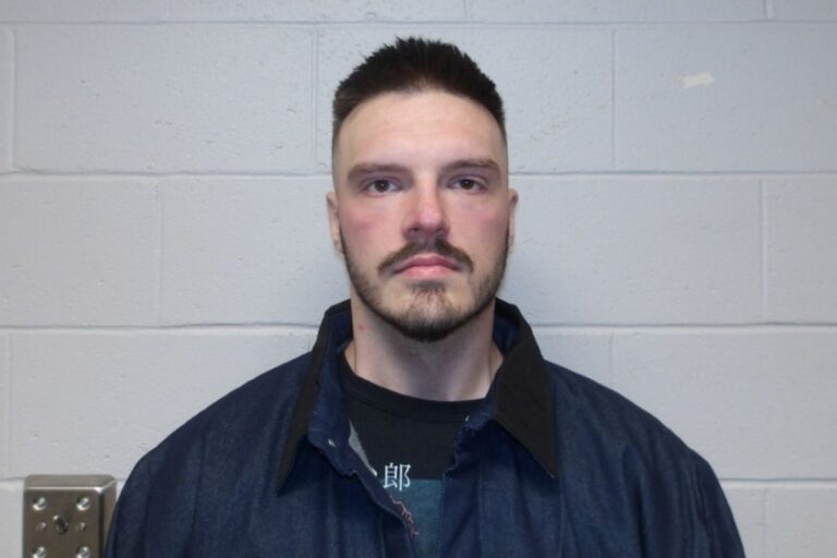 Nakon hapšenja zbog vize, Srbin policajac se vratio na posao