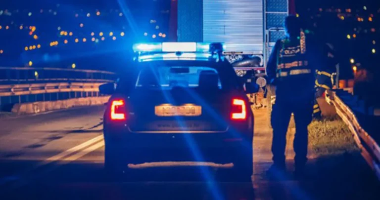 Užas u bh. komšiluku: Sin ubio majku pa presudio i sebi