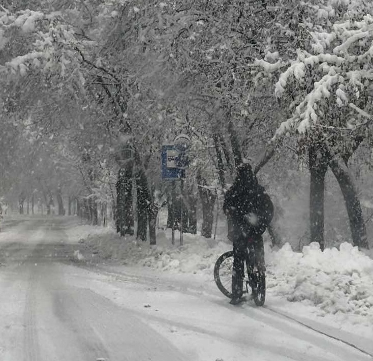 Sam protiv snijega: Zeničanin se biciklom probija kroz poledicu i nanose, svi ga gledaju u nevjerici!