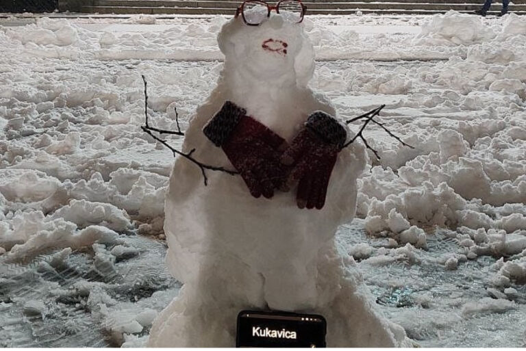 Studenti ne miruju ni na snijegu!