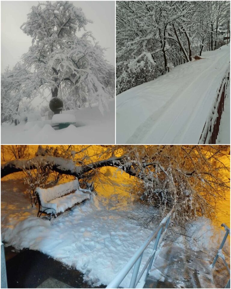 KOLAPS U ZENICI: Građani ogorčeni, snijeg okovao grad, a zimske službe (ne)spremne?