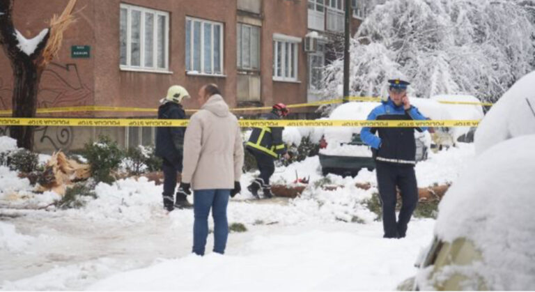 Tragedija: Žena smrtno stradala uslijed pada stabla na putu do posla