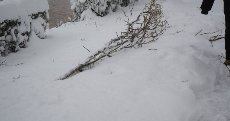 Zima ne popušta: Nakon kratkog zatišja, BiH očekuju nove padavine i niske temperature