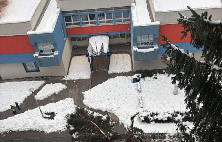 Incident: Bor pao ispred ulaza u osnovnu školu, roditelji zabrinuti