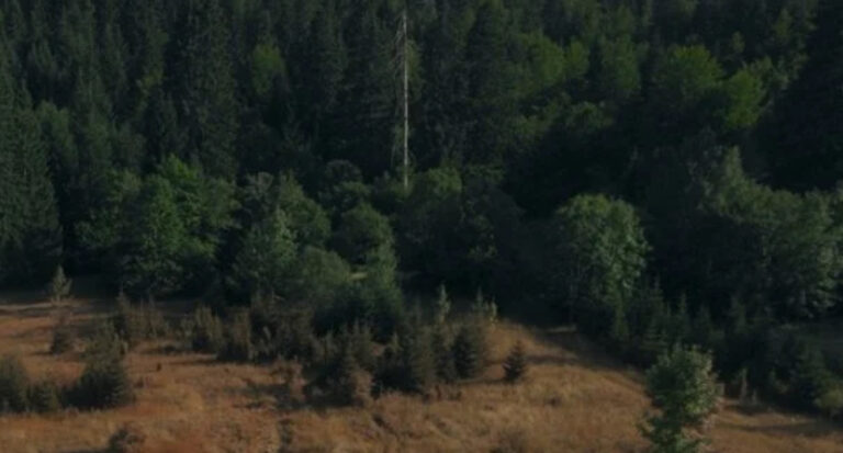 Misterija na prevoju Komar: Noćni autobus za Jajce nestao bez traga, u potragu uključene sve službe!