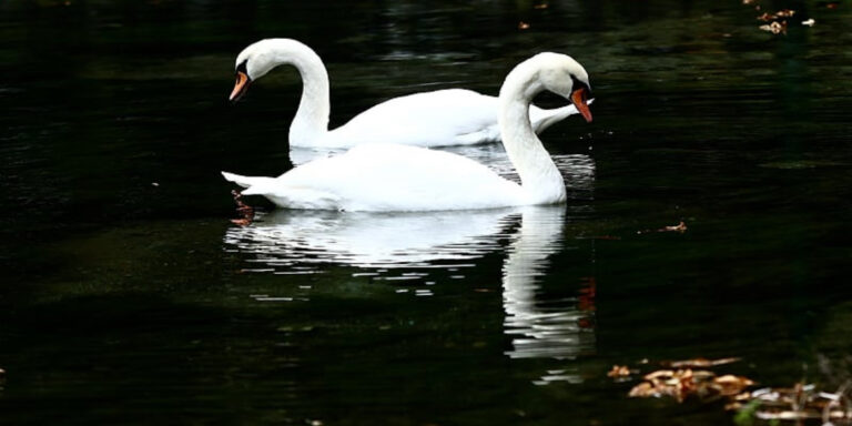 Rekordna posjećenost zaštićenih prirodnih područja Kantona Sarajevo u 2025. godini