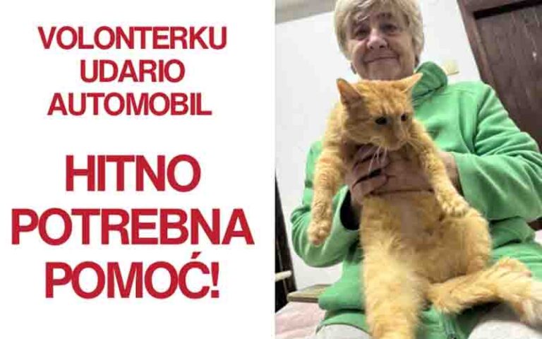 Automobilom udario Banjalučanku koja brine o 14 maca, sada upućen apel dobrim ljudima