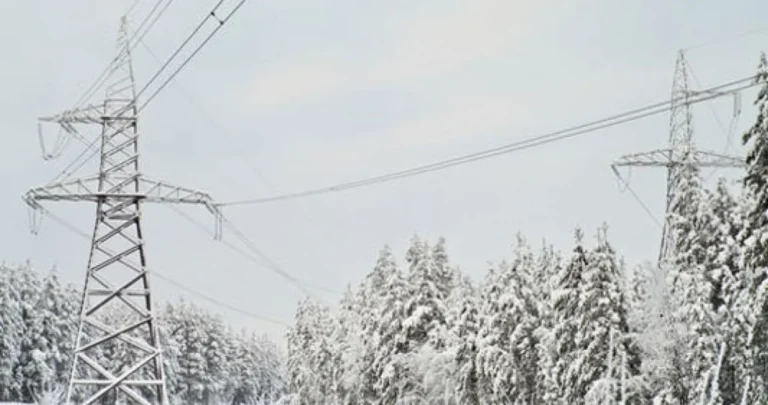 Hiljade građana bez struje, iz Elektroprivrede poručuju: Otklanjanje kvarova do kraja dana