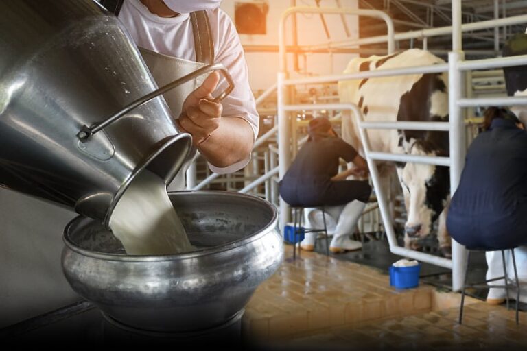 Najavljen rast cijene otkupa mlijeka u FBiH za dva feninga po litru