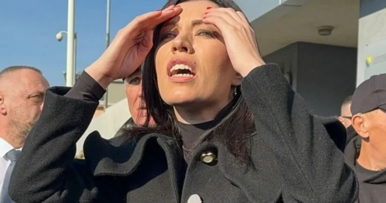 Čudo bi bilo da nije progovorila: Vulić opet “osula paljbu” po Sudu BiH, ovaj put ne zbog Dodika