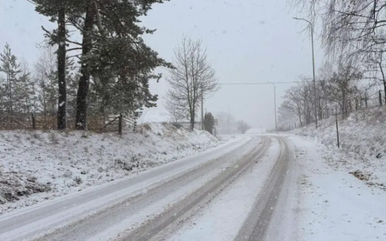 Vitežani Nikola i Ivica besplatno čiste snijeg, donose drva i hranu onima kojima je pomoć najpotrebnija