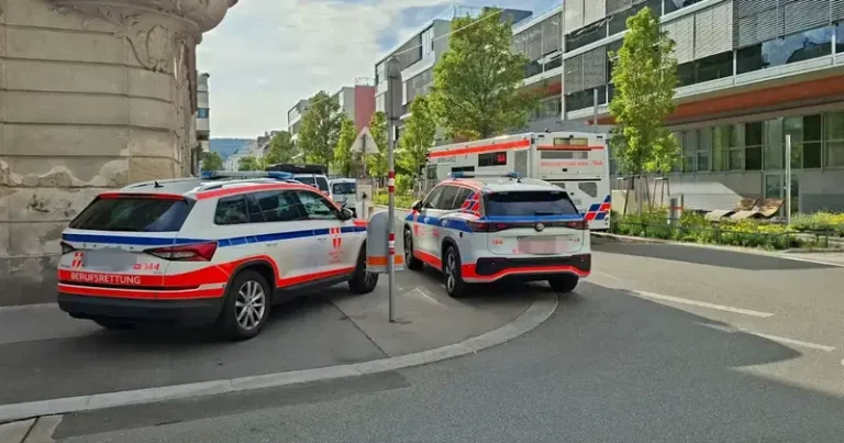 Porodica iz BiH u stravičnoj nesreći izgubila dvoje djece. Preminula su u razmaku od nekoliko dana