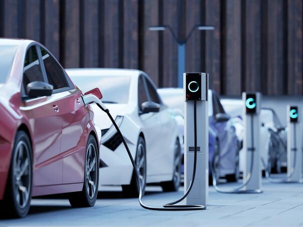 Cijene vozila i nedovoljno razvijena infrastruktura ključne prepreke razvoju elektromobilnosti