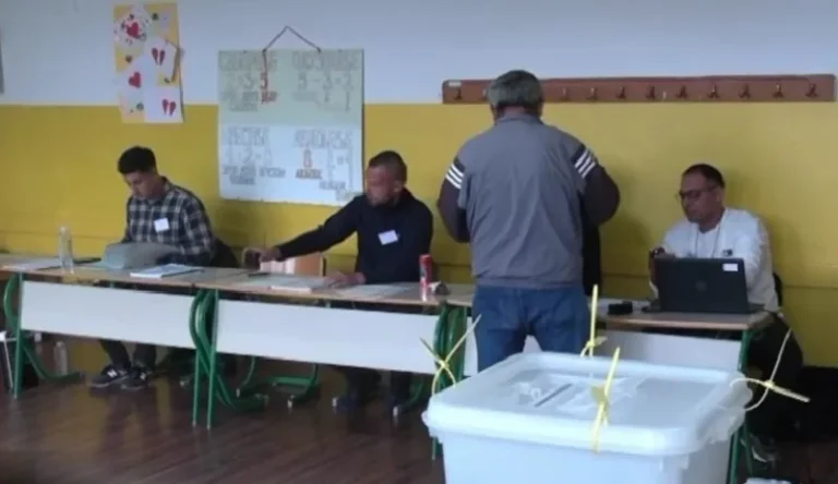 Povratnici između politike i stvarnosti: Ko zapravo ima koristi od njihovih glasova?