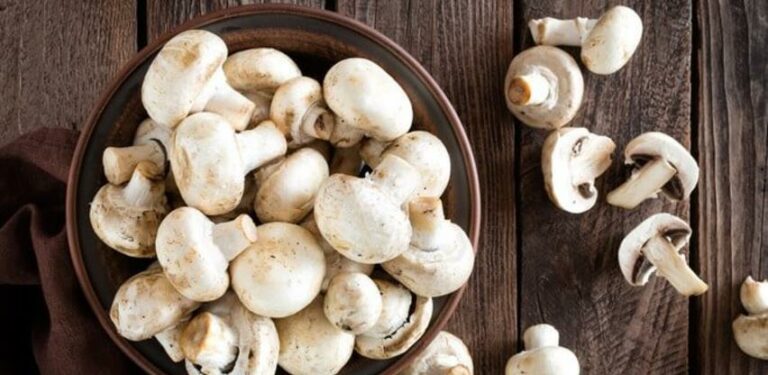 Proizvođači gljiva očajni: Bez poticaja ovaj sektor ide u propast