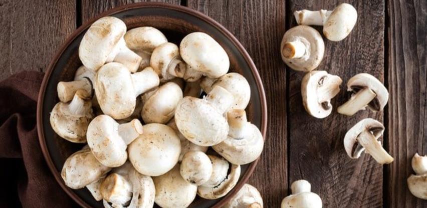 204d0470 6a27 4aac 9c6c 546499914a2asampinjoni