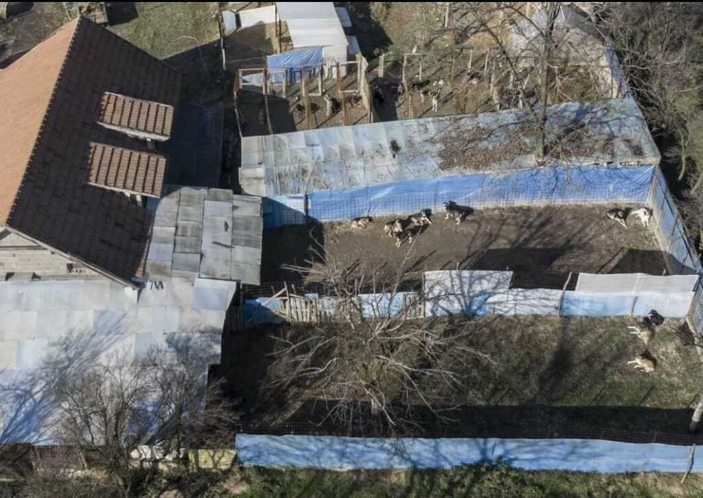 2131192B 94E9 41B0 98FD 713C65715B91