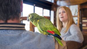 2136c5d395a4157025af4c7c0a352970