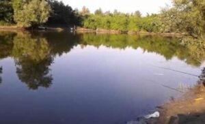 22075 sodros novi sad f