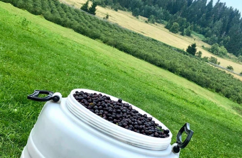 2455991063c5016e08f83869ef091350