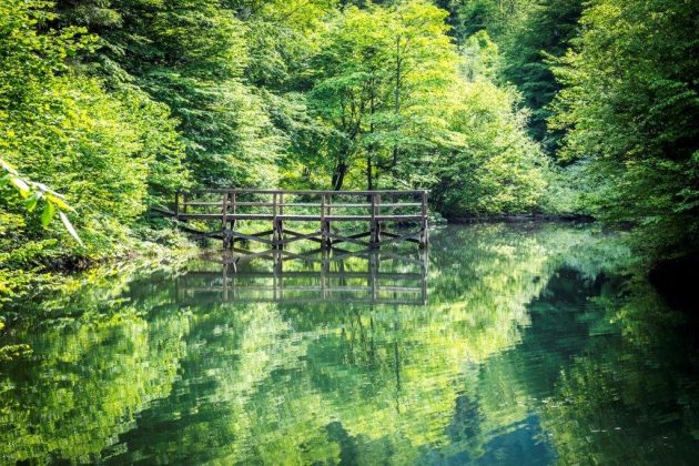 25B80F4D 0160 4764 913F B3995F98C798