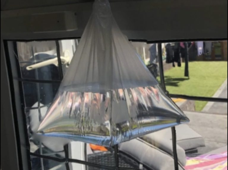 Zanimljiv savjet: Riješite se dosadnih muha uz pomoć – novčića