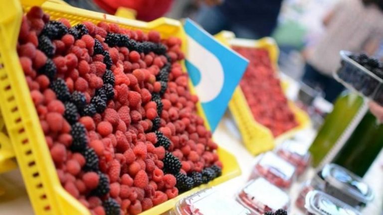 Žepče: Maline u džemu umjesto u hladnjačama