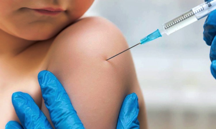 28FFDE44 1631 4628 87A1 0E9F8E40D517