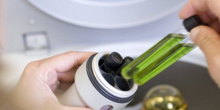 Prvi lijek na bazi marihuane zvanično dobio dozvolu