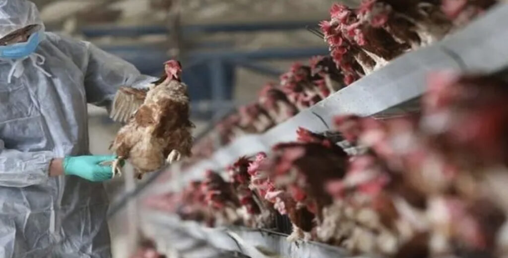 2DBF5B17 7A5A 4A68 83F7 7C669FB1BACD