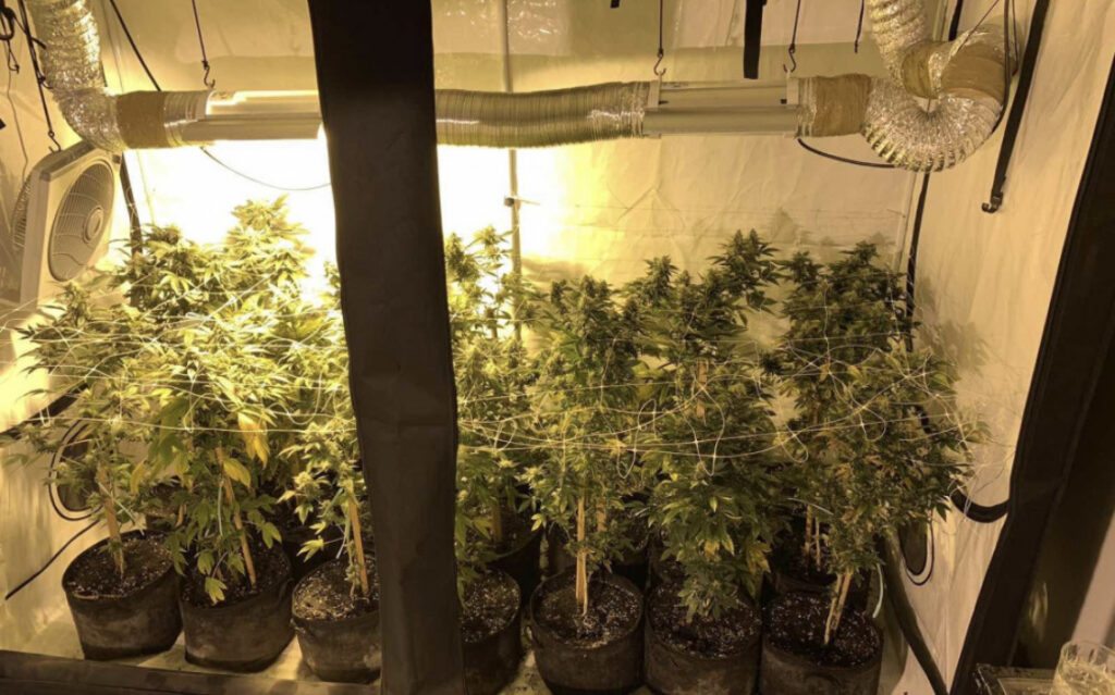 2DE3B5CE C69A 4730 9FFB 12394F9B7D2D