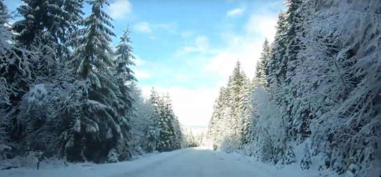 Prvi veći snijeg na Vlašiću ove godine: Vožnja snježnom idilom  (VIDEO)
