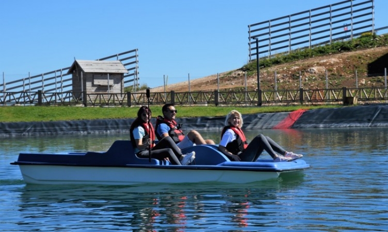 329901e85747a2b713a76d0a3c9166d8