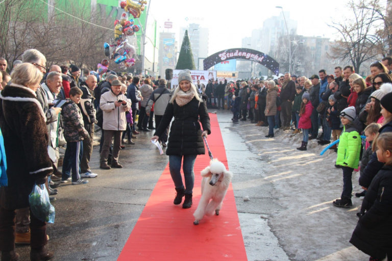 ZENICA Najšarmantniji ljubimci prošetali crvenim tepihom
