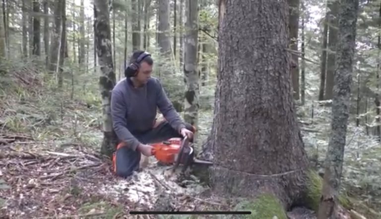 Surova realnost u BiH: Inženjer šumarstva s motorkom u ruci zarađuje za život