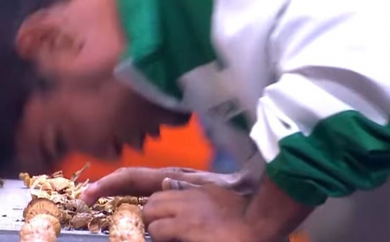 3990fb587f43e2dddc7c3a41610d489a