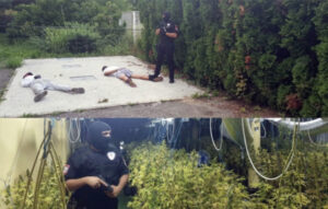 3A6BE1F4 7E5A 45BC 84BF B7324E126E3A